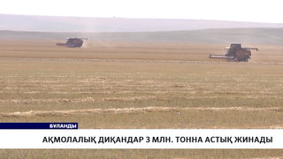 Ақмолалық диқандар 3 млн. тонна астық жинады