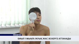 Биыл 1 мыңға жуық жас әскерге аттанады