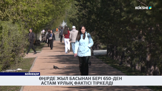 Өңірде жыл басынан бері 650-ден астам ұрлық фактісі тіркелді 
