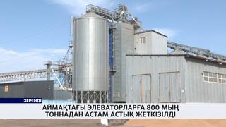 Аймақтағы элеваторларға 800 мың тоннадан астам астық жеткізілді 