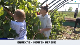 Еңбекпен келген береке