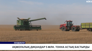 Ақмолалық диқандар 5 млн. тонна астық бастырды 