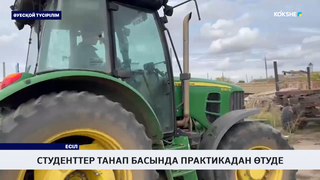 Студенттер танап басында практикадан өтуде