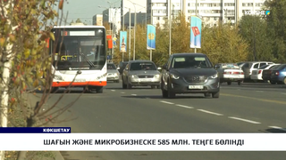 Шағын және микробизнеске 585 млн. теңге бөлінді