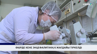Өңірде кене энцефалитінің 6 жағдайы тіркелді