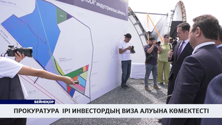 Прокуратура ірі инвестордың виза алуына көмектесті