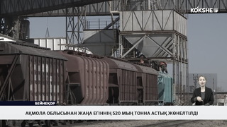 Ақмола облысынан жаңа егіннің 520 мың тонна астық жөнелтілді