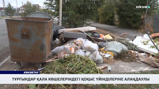 Тұрғындар қала көшелеріндегі қоқыс үйінділеріне алаңдаулы 