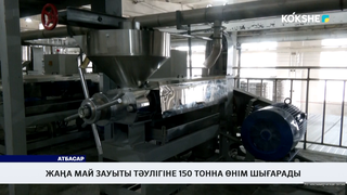 Жаңа май зауыты тәулігіне 150 тонна өнім шығарады