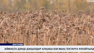 Аймақта дәнді дақылдар алқабы 838 мың гектарға ұлғайтылды