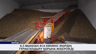 6,5 мыңнан аса көкөніс өңірдің тұрақтандыру қорына жіберіледі
