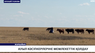 Ауыл кәсіпкерлеріне мемлекеттік қолдау