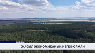 Жасыл экономиканың негізі-орман