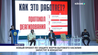 Новый проект по защите жертв бытового насилия запустят в Кокшетау