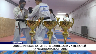 Акмолинские каратисты завоевали 27 медалей на чемпионате страны
