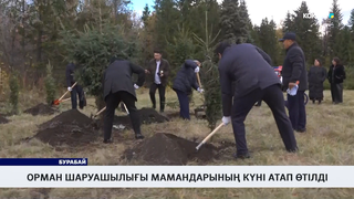 Орман шаруашылығы мамандарының күні атап өтілді