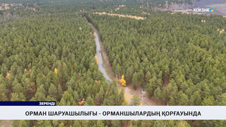 Орман шаруашылығы – орманшылардың қорғауында 