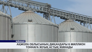 Ақмола облысының диқандары 6 миллион тоннаға жуық астық жинады