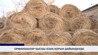 Орманшылар қысқы азық қорын дайындауда
