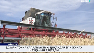 6,2 млн тонна сапалы астық: диқандар егін жинау науқанын аяқтады