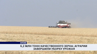 6,2 млн тонн качественного зерна: аграрии завершили уборку урожая