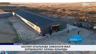 Баскөл ауылында заманауи мал бордақылау алаңы ашылды