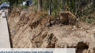 Ауладағы ағаштарды кім қопарды?