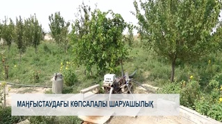 Маңғыстаудағы көпсалалы шаруашылық