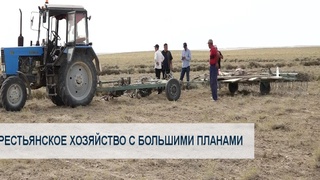 Крестьянское хозяйство с большими планами