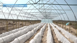 Льготные кредиты - поддержка для бизнеса