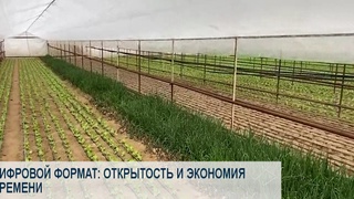Цифровой формат: открытость и экономия времени