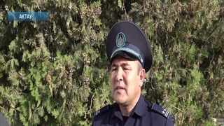Қоғамдық көмекшілер: құқық пен міндет