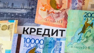 НЕСИЕ ЖҮГІ