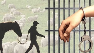 СКОТОКРАДСТВО: ЗАДЕРЖАНЫ ОКОЛО 460 ЧЕЛОВЕК