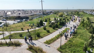 35 ТОННА ҚОҚЫС ШЫҒАРЫЛДЫ