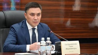 ӘЛЕУМЕТТІК НЫСАНДАРДЫҢ ЖҰМЫСЫ ӘКІМ БАҚЫЛАУЫНДА