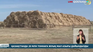 Қазақстанда 20 млн тоннаға жуық мал азығы дайындалды