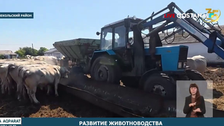 Развитие животноводства