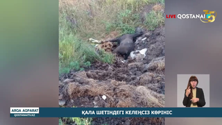 Қала шетіндегі келеңсіз көрініс.