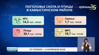 От урожая — к кормовой базе