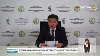 Аудан экономикасын әртараптандыру жолдары