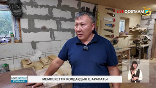 Мемлекеттік қолдаудың шарапаты