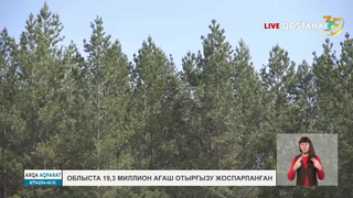 Облыста 19,3 миллион ағаш отырғызу жоспарланған
