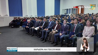 Карьера на госслужбе