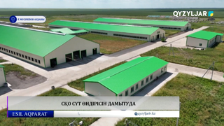 СҚО сүт өндірісін дамытуда