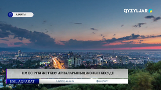 ІІМ есірткі жеткізу арналарының жолын кесуде