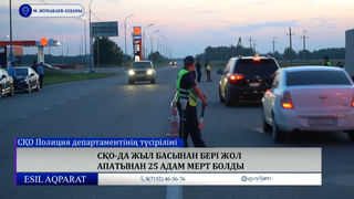 СҚО-да жыл басынан бері жол апатынан 25 адам мерт болды  