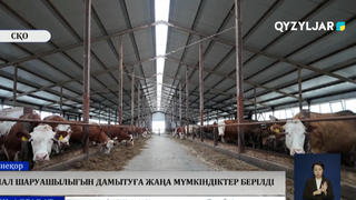 Мал шаруашылығын дамытуға жаңа мүмкіндіктер берілді