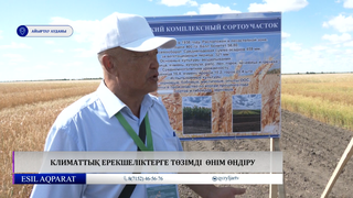 Климаттық ерекшеліктерге төзімді  өнім өндіру