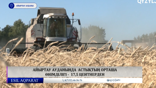 Айыртау ауданында  астықтың орташа өнімділігі -  17,5 центнерден 